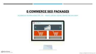 e commerce seo packages