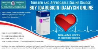 How Much Does IDAMYCIN Cost (1)