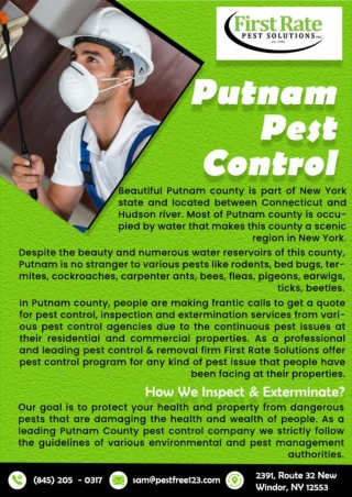Pest Control Orange County | Termite Control Orange County
