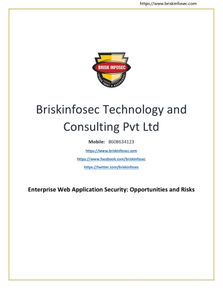 Enterprise Web Application Security Opportunities and Risks