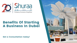 Benefits Of Starting A Business In Dubai