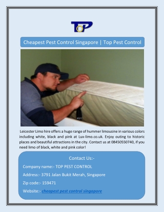 Cheapest Pest Control Singapore | Top Pest Control