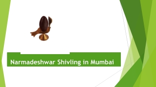 Narmadeshwar Shivling in Mumbai