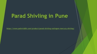 Parad Shivling in Pune
