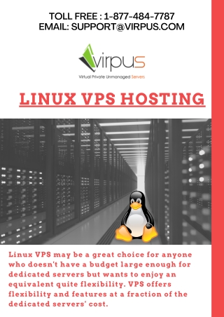 Linux VPS Hosting