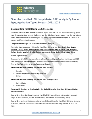 Binocular Hand-held Slit Lamp Market Growth, Developments Analysis and Outlook