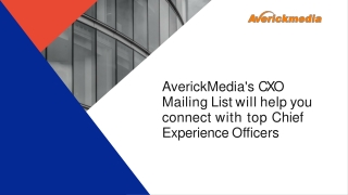 AverickMedia's CXO Email List