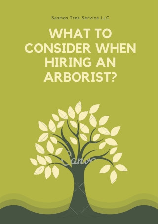 What to consider when hiring an arborist?