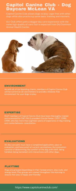 Capitol Canine Club - Dog Daycare McLean VA