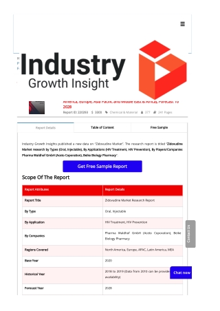 Zidovudine Market Research | Global Industry Analysis & Forecast To 2028
