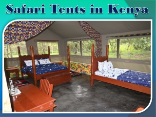 Safari Tents in Kenya