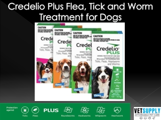 Credelio Plus Flea, Tick, and Worm Treatment for Dogs| Dog Supplies | VetSupply
