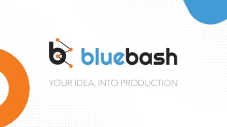 Bluebash - EHR Software solutions Company In USA