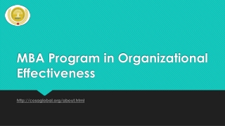 MBA Program in Organizational Effectiveness