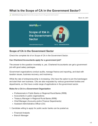 What is the Scope of CA in the Government Sector