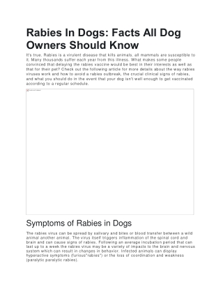 Rabies In Dogs Facts All Dog Owners Should Know