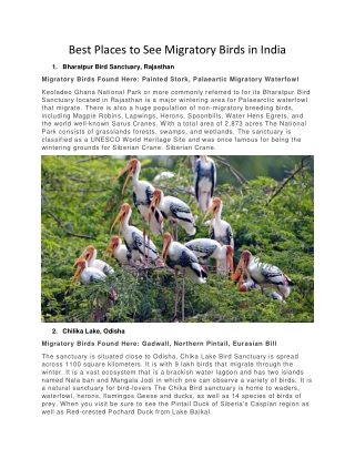 Best Places to See Migratory Birds in India