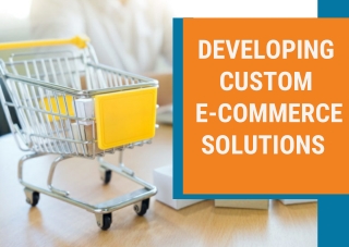 Custom Ecommerce Development Company