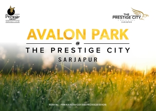 Prestige City Avalon Park Brochure - Go Anywhere and Get Back Home