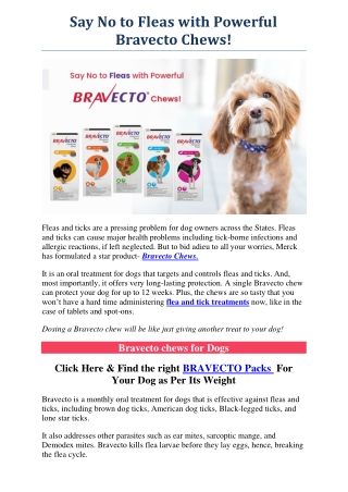 Say No to Fleas with Powerful Bravecto Chews!