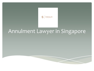 Annulment Lawyer in Singapore