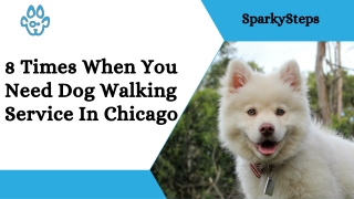 8 Times When You Need Dog Walking Service In Chicago