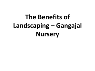 The Benefits of Landscaping – Gangajal Nursery