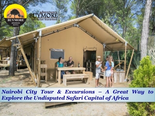 Nairobi City Tour & Excursions – A Great Way to Explore the Undisputed Safari