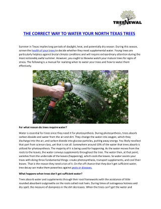 THE CORRECT WAY TO WATER YOUR NORTH TEXAS TREES