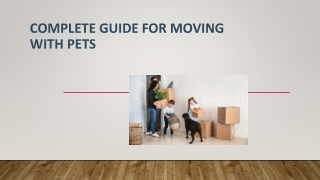 Complete Guide For Moving With Pets