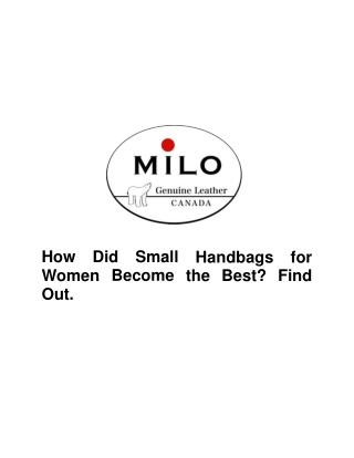 How Did Small Handbags for Women Become the Best? Find Out.