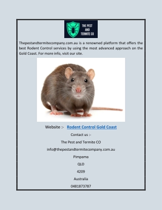 Rodent Control Gold Coast | Thepestandtermitecompany.com.au