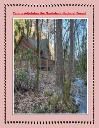 Cabins Adjoining the Nantahala National Forest