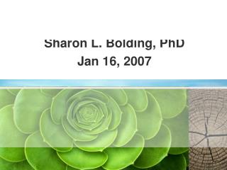 Semantics Overview Sharon L. Bolding, PhD Jan 16, 2007