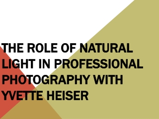 The Role of Natural Light in Professional Photography