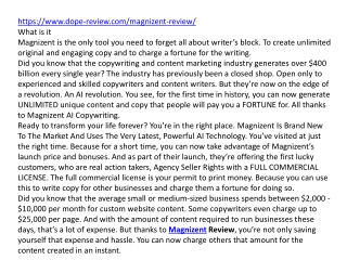 Magnizent Review