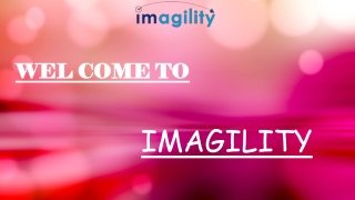 Find all about denials on H-1b now with Imagility