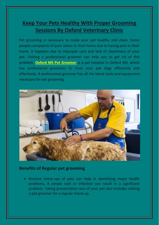 Keep Your Pets Healthy With Proper Grooming