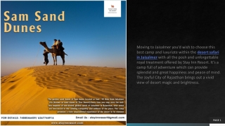 Joyous Desert Safari in Jaisalmer