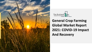 General Crop Farming Market Analysis, Global Trends, Industry Outlook 2021-2030
