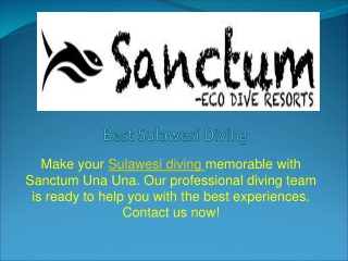 Best Sulawesi Diving