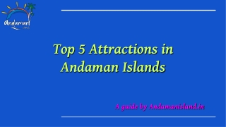 Top 5 Attractions in Andaman Islands