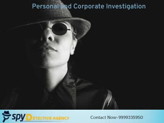 Detective in Delhi