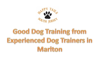 Good Dog Training from Experienced Dog Trainers in Marlton