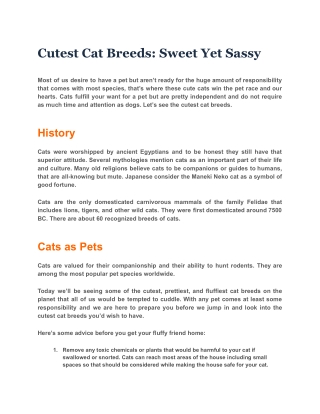 Cutest Cat Breeds: Sweet Yet Sassy