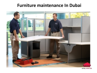 Furniture maintenance Service