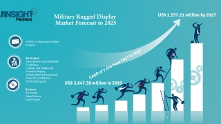 Military Rugged Display Market