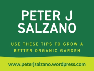 Peter J Salzano - Use These Tips To Grow A Better Organic Garden