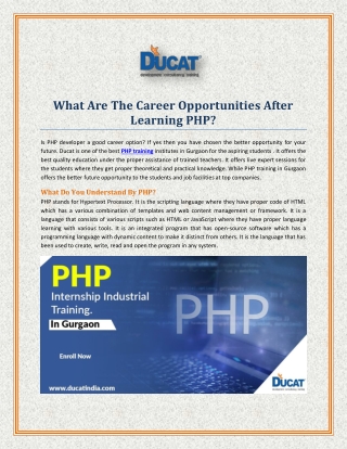 Is PHP Still So Important for Web Development