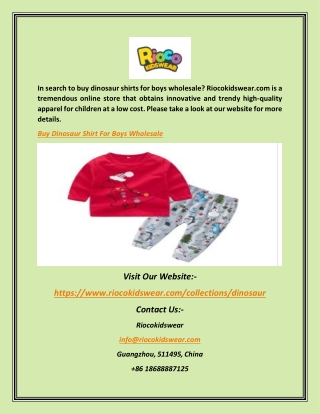Buy Dinosaur Shirt For Boys Wholesale | Riocokidswear.com